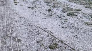 Pierwszy śnieg w Gdańsku