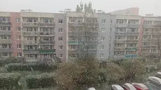 Kwiecień plecień. W Jeleniej Górze pada śnieg