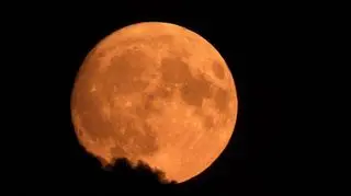 Księżyc Jesiotrów 