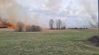Pożar w Biebrzy, Krasnybór