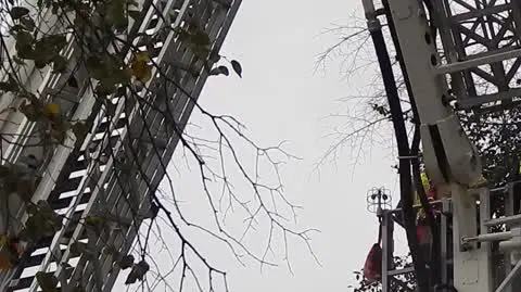 b673be5d-61a8-4813-92bd-50be2cf3fa63_DSCN3578