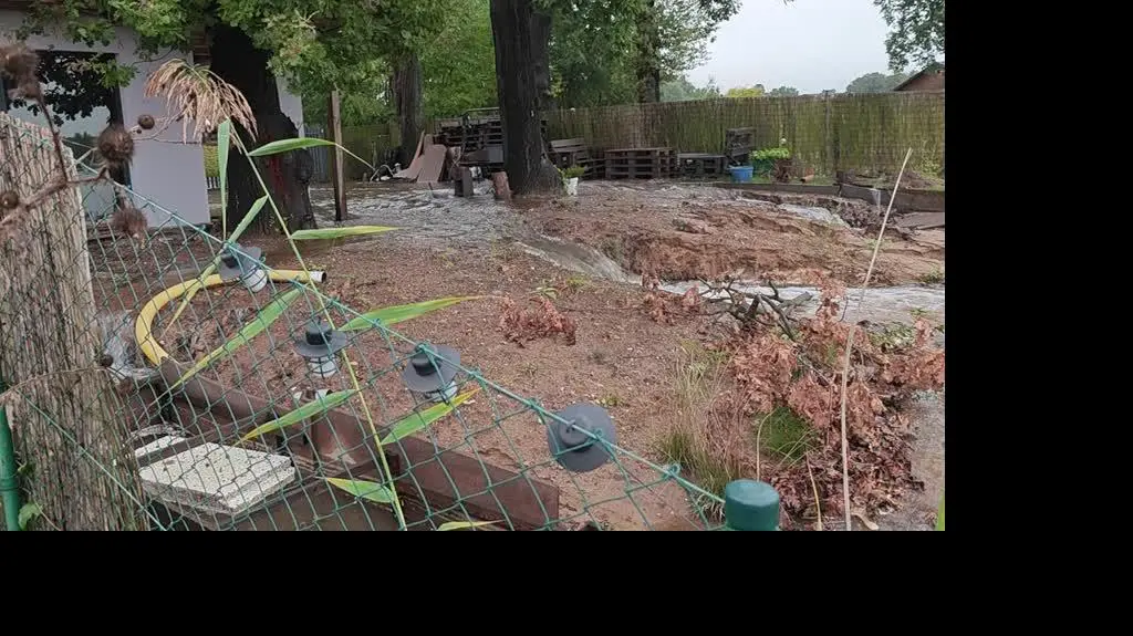 295a5e75-d237-4007-8876-c4554fe357e7_VID_20240915_183805