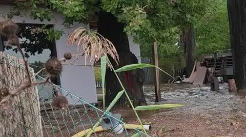 295a5e75-d237-4007-8876-c4554fe357e7_VID_20240915_183805