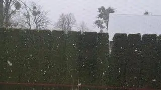 Poranek z opadami śniegu, Prynowo