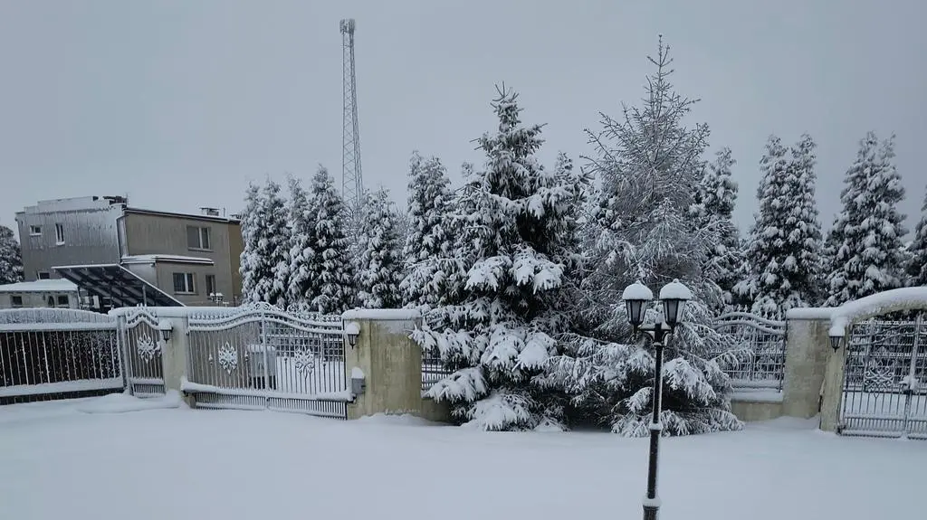 Zima, Łężyce