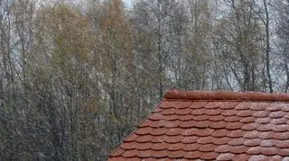 Pierwszy śnieg, mokry i szybko topniejący, Ornontowice