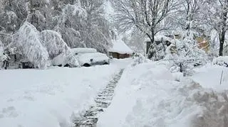 Zimowy poranek, Równe (Podkarpackie)