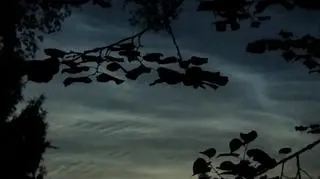 Obłoki srebrzyste na niebie, Przytarnia (Pomorskie)
