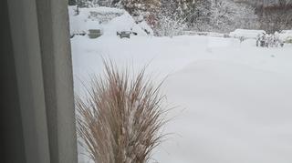 Atak zimy w Cieniawie (Małopolskie)