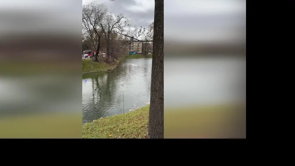 ab01f8bb-f2e2-4dca-9d2e-d9de81b4e507_dpd2