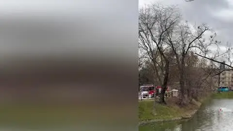 ab01f8bb-f2e2-4dca-9d2e-d9de81b4e507_dpd2