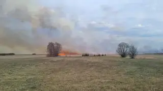 Pożar w Biebrzy, Krasnybór