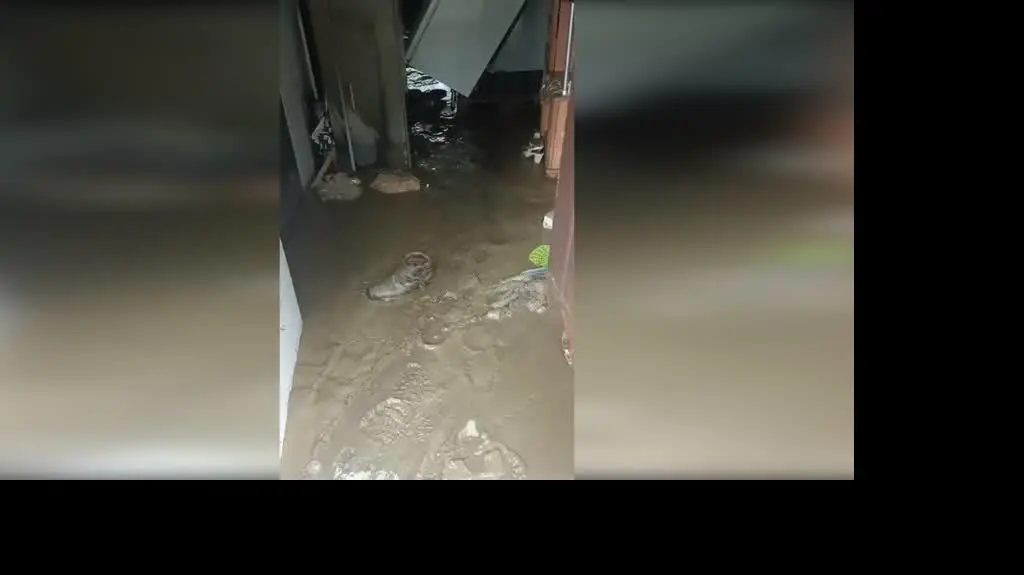 b430c841-6809-4e9d-a444-7557539178ad_letarnice2