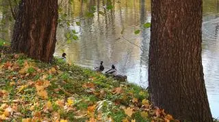 Wszystkich Świętych w jesiennej scenerii