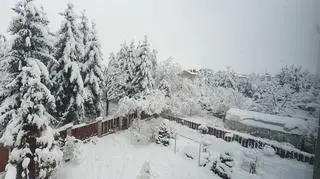 Dębica (Podkarpackie)