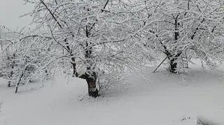 Zima, Pogorzany (Małopolskie)