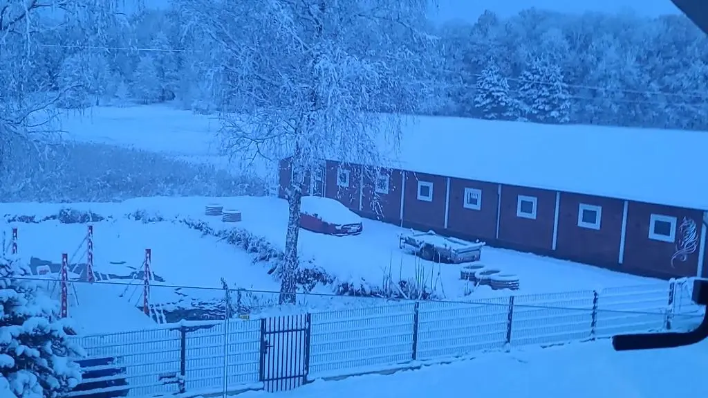 Palowice, Śląskie