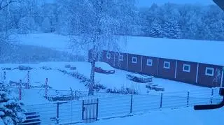 Palowice, Śląskie