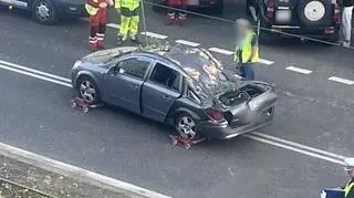 Przewrócona topola na Żoliborzu