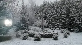 Suchowola (Świętokrzyskie)