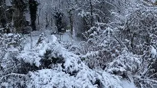 Tenczynek (Małopolskie)