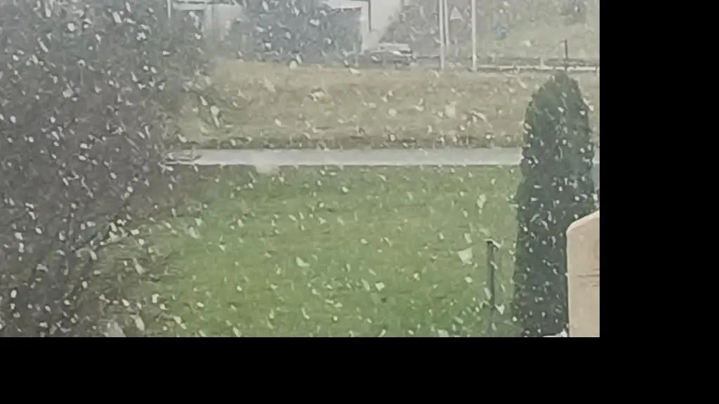 e4646390-2ac3-4968-93a4-2f2d5c07cf19_snieg2