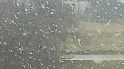 e4646390-2ac3-4968-93a4-2f2d5c07cf19_snieg2