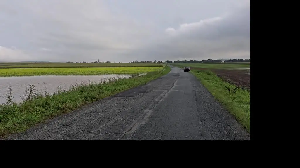 cf2244aa-1ea5-4beb-ae35-a5f8e4a54a4e_20240916_090830