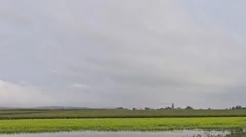 cf2244aa-1ea5-4beb-ae35-a5f8e4a54a4e_20240916_090830