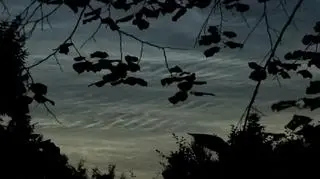 Obłoki srebrzyste na niebie, Przytarnia (Pomorskie)
