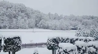 Smarżowa (Podkarpackie)