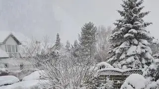 Śnieżnie w Gdańsku 