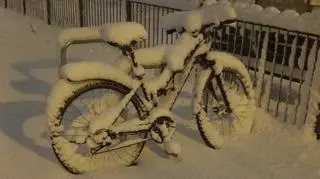 Śnieg w Gdyni, 11.01