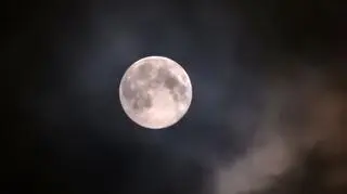 Ostatnia Pełnia w 2025 roku tylko zza chmur