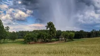 Burza w Ogrodnikach (Podlaskie) 