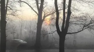 Mgła we Wrocławiu 