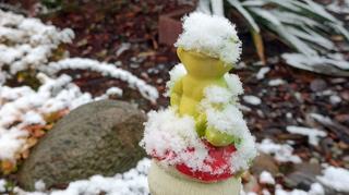 Zima w ogródku, 13.11