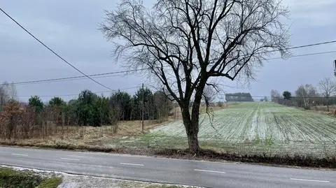 Zimowy krajobraz, Cegłowo (Mazowieckie)