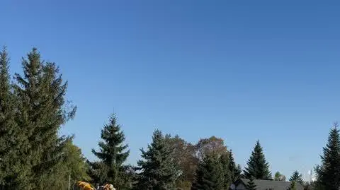 e8716286-e9c6-45ac-a293-dafb1eb07ba4_IMG_2034