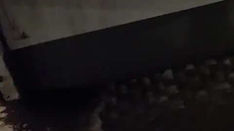 inbound1163122780150429897