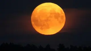 Pełnia Koźlego Księżyca, Olsztyn