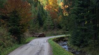 Złota jesień w Beskidach