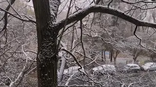 Pierwszy śnieg, Ostrów Wielkopolski 
