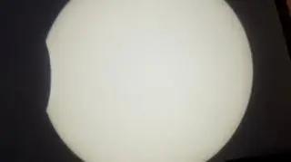 imageTitle