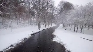 Polski biegun zimna, Suwałki 