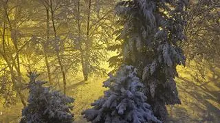 Zima w Rzeszowie (Podkarpackie)