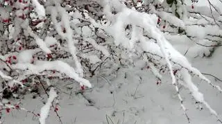 Pierwszy śnieg, Ornontowice (Śląskie)