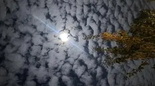 Pełnia księżyca, Warszawa 