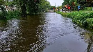 Potok Służewiecki, ul. Arbuzowa w Warszawie