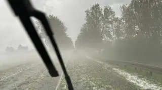 Trasa Raciąż - Drobin, 5.06, około g. 11